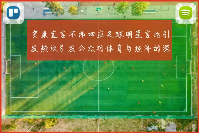 贾康直言不讳回应足球明星言论引发热议引发公众对体育与经济的深思