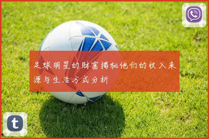 足球明星的财富揭秘他们的收入来源与生活方式分析